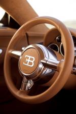 Bugatti Veyron 16.4 Gold Edition 2009 года
